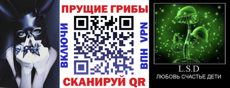 даркнет сайт  Тюкалинск  Псилоцибиновые грибы Psilocybine cubensis 